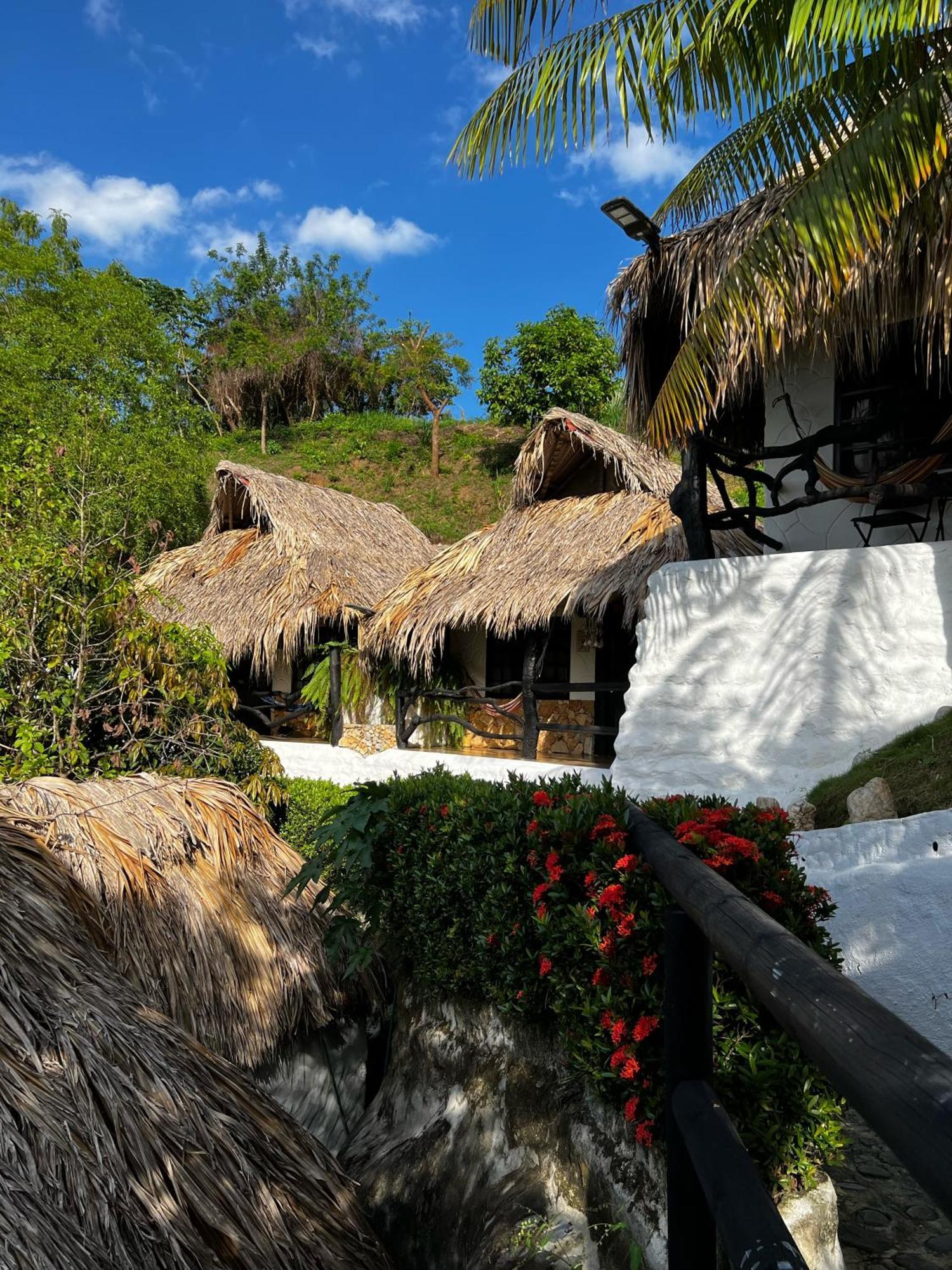 Quetzal Dorado Eco-Lodge By Mareygua 埃尔扎伊诺 外观 照片